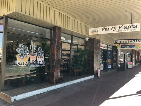 Fancy Plants - eAccommodation 1