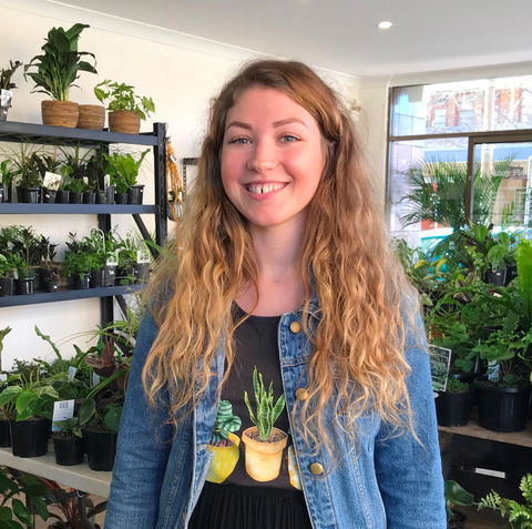 Fancy Plants - eAccommodation 2