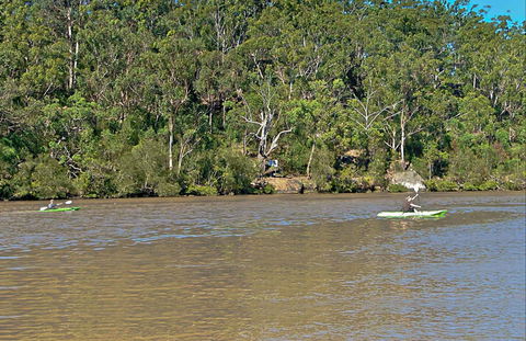 Fitzpatrick Park - eAccommodation 0