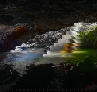 Gondwana Rainforests of Australia World Heritage Area - eAccommodation