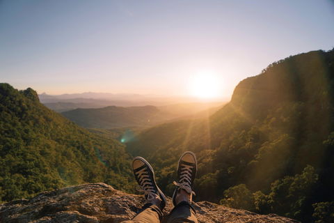 Gondwana Rainforests Of Australia World Heritage Area - eAccommodation 1