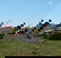 Jim Salmon  Wetland Education Site - eAccommodation