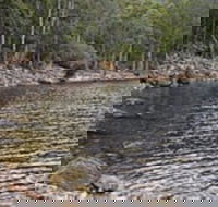 Lake Rowallan - eAccommodation