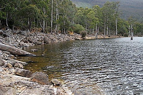 Lake Rowallan - eAccommodation 1