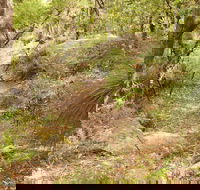 Mount Carnarvon Walking Track - eAccommodation
