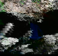 Natural Bridge Circuit Springbrook National Park - eAccommodation