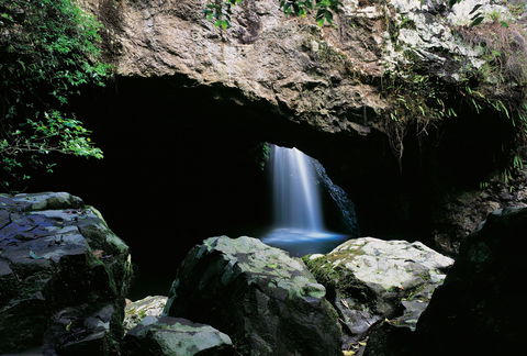 Natural Bridge Circuit, Springbrook National Park - eAccommodation 0