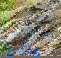 Queens Park Waterfall - eAccommodation