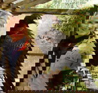Raptor Domain - eAccommodation