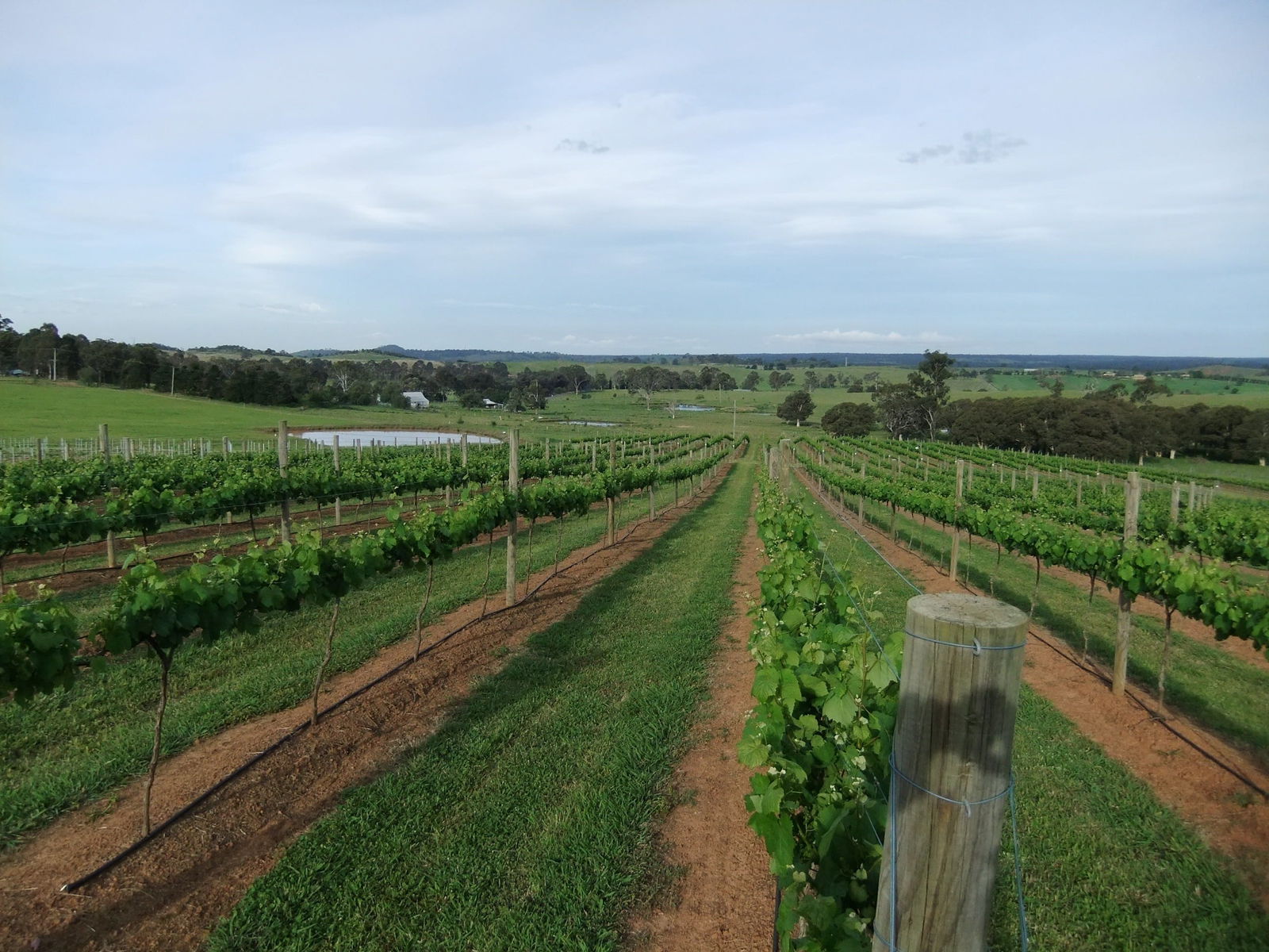 Razorback NSW eAccommodation
