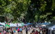 The Riverside At The Botanic Gardens - thumb 0