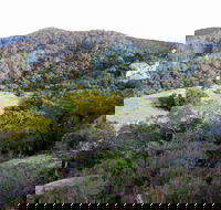 The Bellbird - eAccommodation