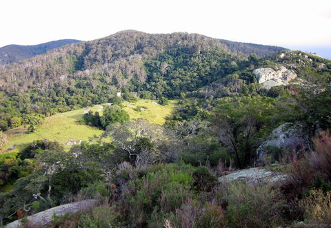 The Bellbird - eAccommodation 0