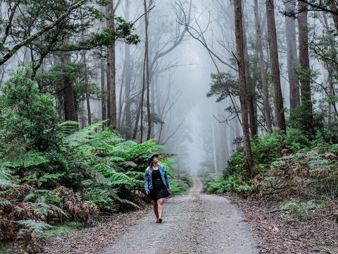 The Corn Trail Walking Track - eAccommodation 0