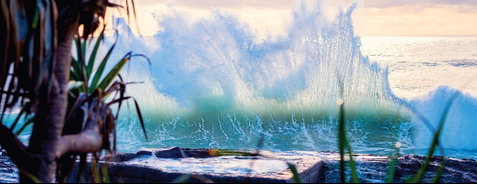 Tugun - eAccommodation 0
