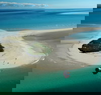 Turtle Discovery - eAccommodation