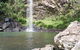 Twin Falls Circuit, Springbrook National Park - thumb 0