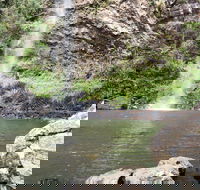 Twin Falls Circuit Springbrook National Park - eAccommodation