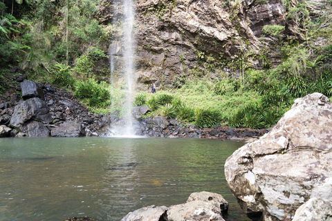Twin Falls Circuit, Springbrook National Park - eAccommodation 0