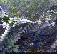 Ugly Corner Falls Walking Track - eAccommodation