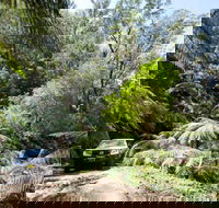 Wadbilliga Road drive - eAccommodation