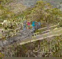 Walpole Wilderness Discovery Centre - eAccommodation