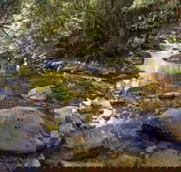 Washpool Walking Track - eAccommodation