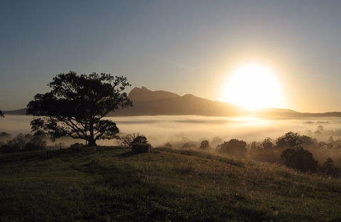 Wollumbin-Mount Warning National Park - eAccommodation 0