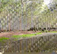 Wonga Wetlands - eAccommodation