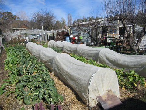 Wynlen House: Tour A Unique Urban Regenerative Farm And Market Garden - eAccommodation 0