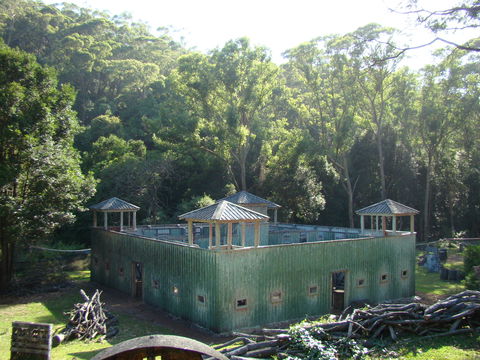 Alpha Paintball - eAccommodation 0
