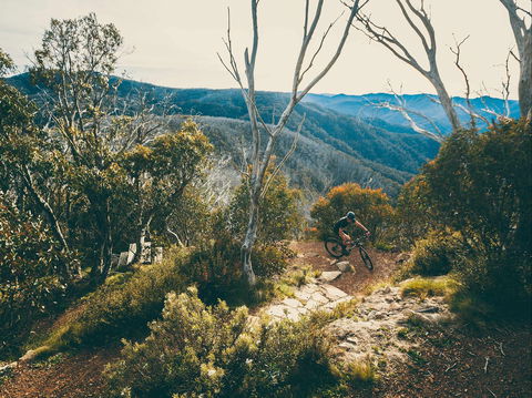 Australian Alpine Epic Mountain Bike Trail - eAccommodation 1