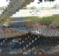 Barcaldine Musical Instruments