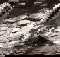 Bathurst Goldfields Education and Function Centre - eAccommodation