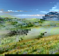 Bega - eAccommodation