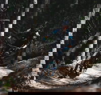 Boomerang Farm Bike Park - eAccommodation