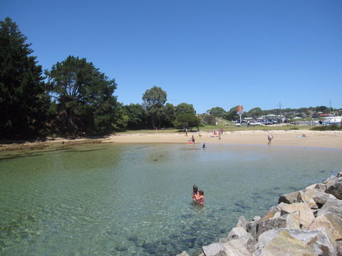 Bruce Steer Pool - eAccommodation 0
