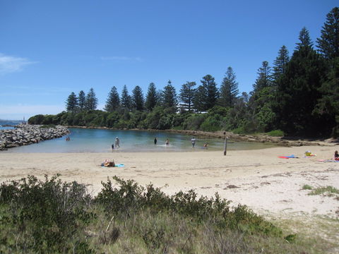 Bruce Steer Pool - eAccommodation 1