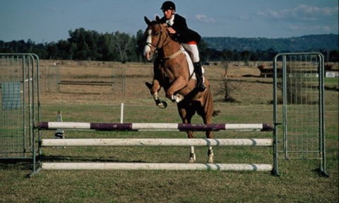 Camden Bicentennial Equestrian Park - eAccommodation 0