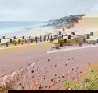 Coast to Vines Rail Trail - eAccommodation