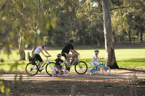 Coast To Vines Rail Trail - eAccommodation 1