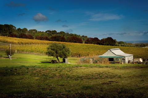 Coast To Vines Rail Trail - eAccommodation 2