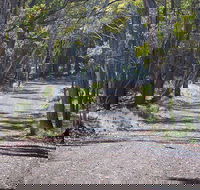 Coolah Tops National Park - eAccommodation