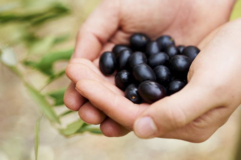 Eat, Pick, Grow Trail - Wanneroo And Chittering - eAccommodation 0
