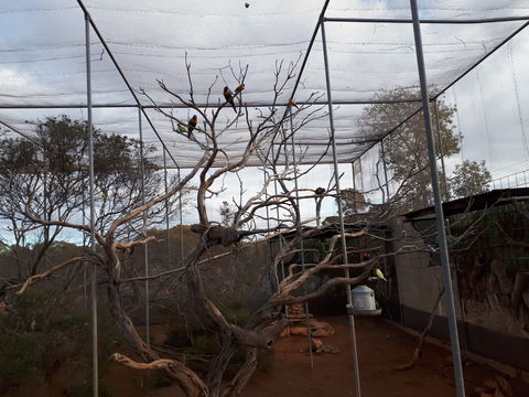 Eyre Reptile & Wildlife Park - eAccommodation 2