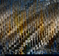 Hastings Caves and Thermal Springs - eAccommodation