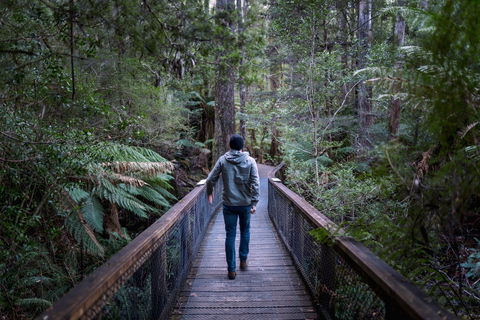 Hastings Caves And Thermal Springs - eAccommodation 1