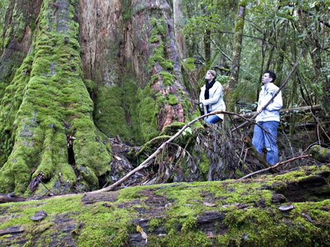 Hastings Caves And Thermal Springs - eAccommodation 2