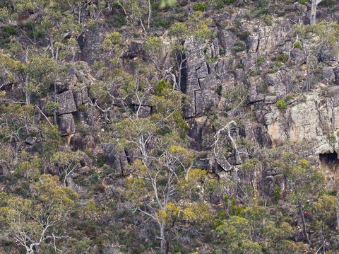 Horsnell Gully And Giles Conservation Parks - eAccommodation 0