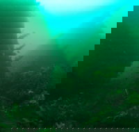 Investigator Strait Shipwreck Trail - eAccommodation